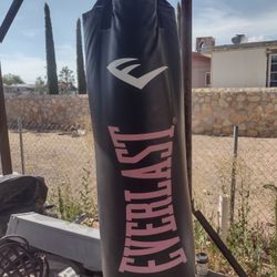 Everlast Boxing Bag 