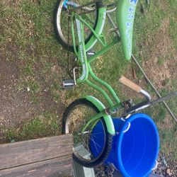 Old flower bike really old it’s in good condition. Everything is good with it. She needs a new chain and it has a Banana seat.