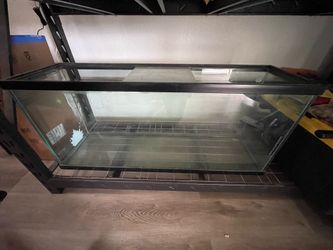 55 gal long tank