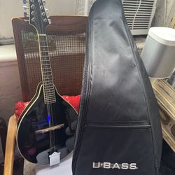 Rogue RM-100A A-Style Mandolin Black 
