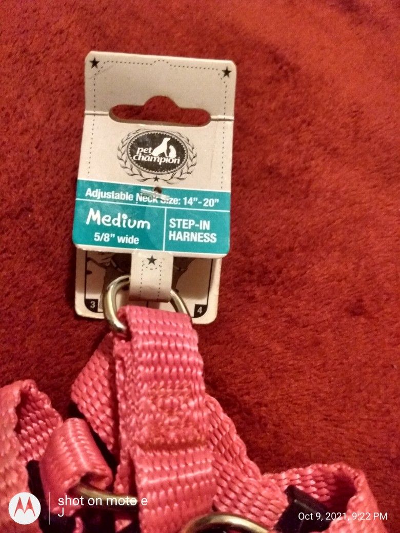 Dog 🐕 Harness