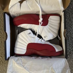 Jordan 12s 