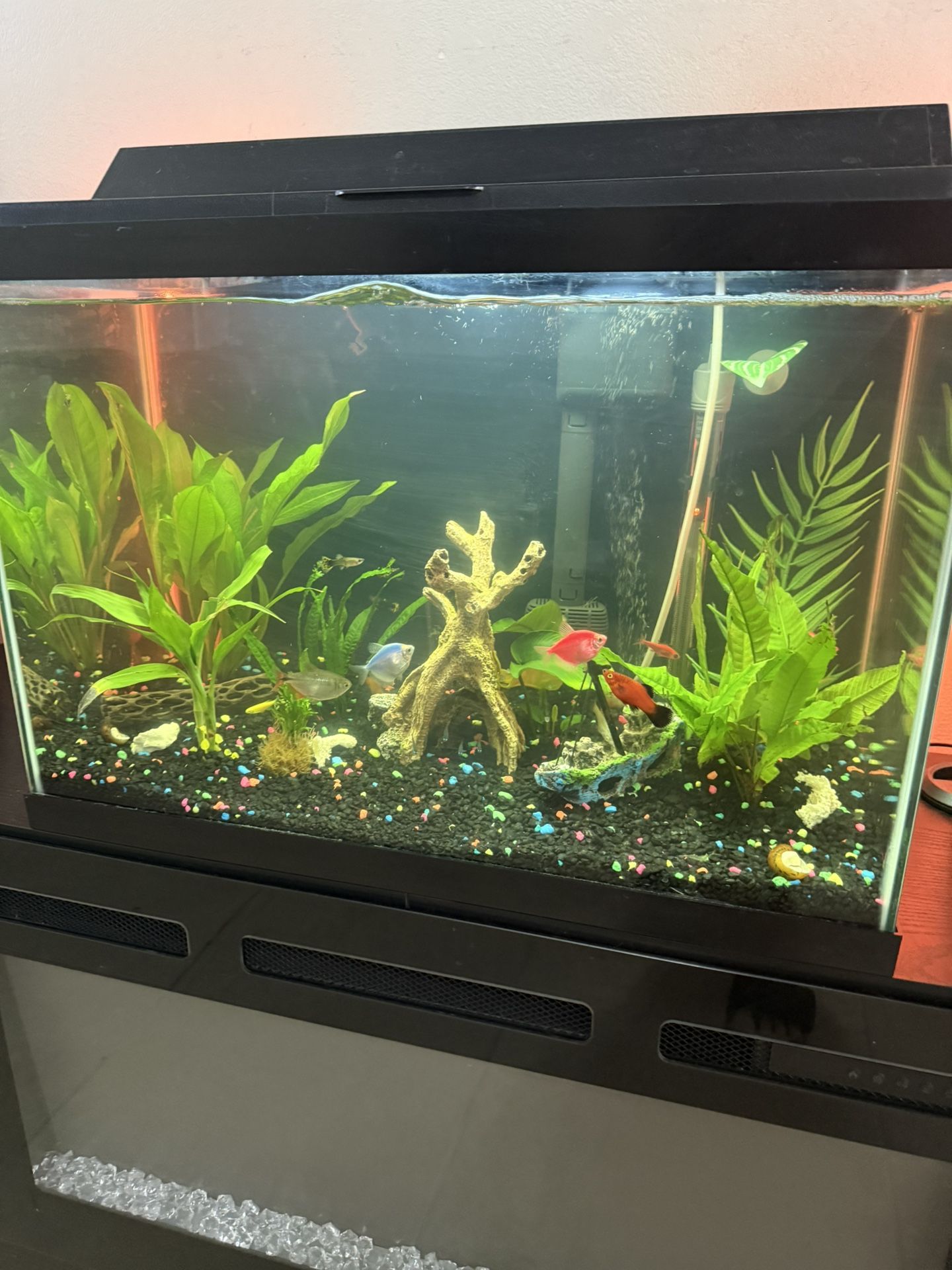 45 Gallon Tank