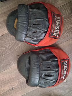 Ringside boxing mits