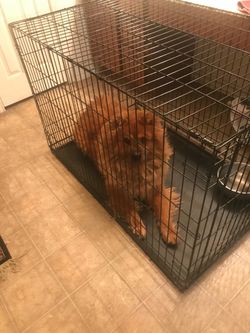 Large crate