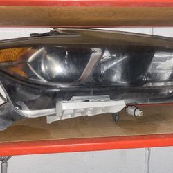 Máxima Head light 2016-2018