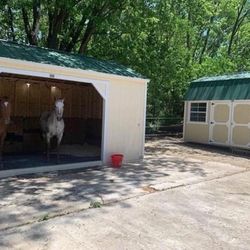 animal shelter - horse stable