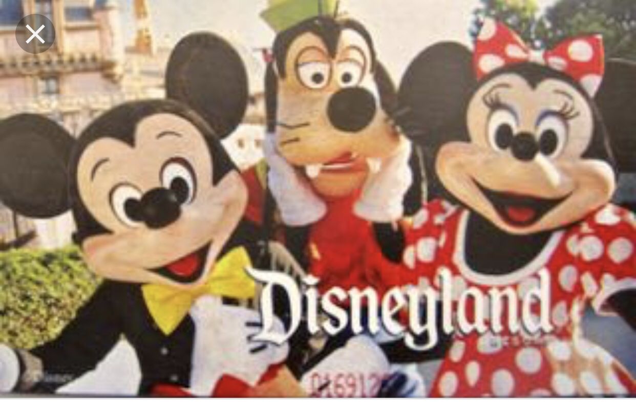 2 adult 2 child 2 day Disneyland max passes