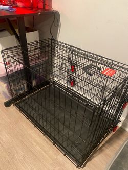 Kong dog crate