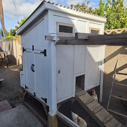 Chicken Coop