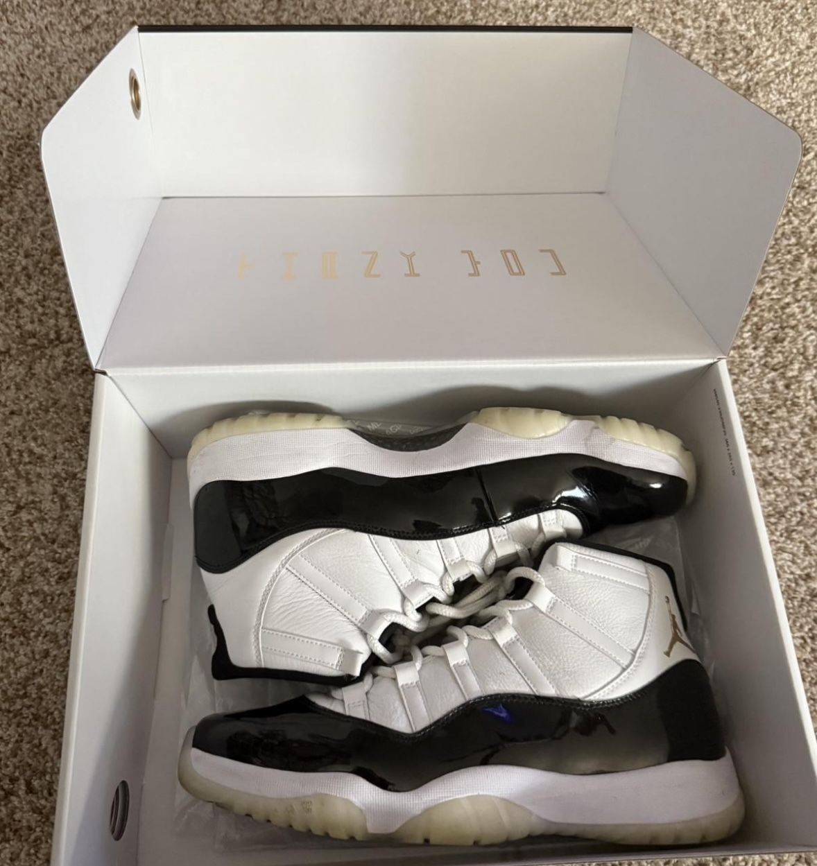 Jordan 11 Size 12