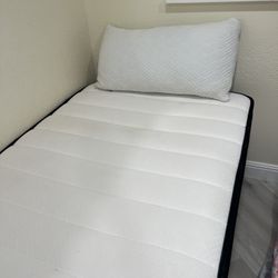 Beautiful Clean XL Twin Bed With Mattress And Pillow