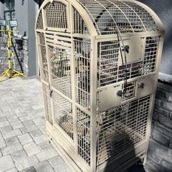 Bird Cage 