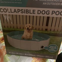 Dog Pool