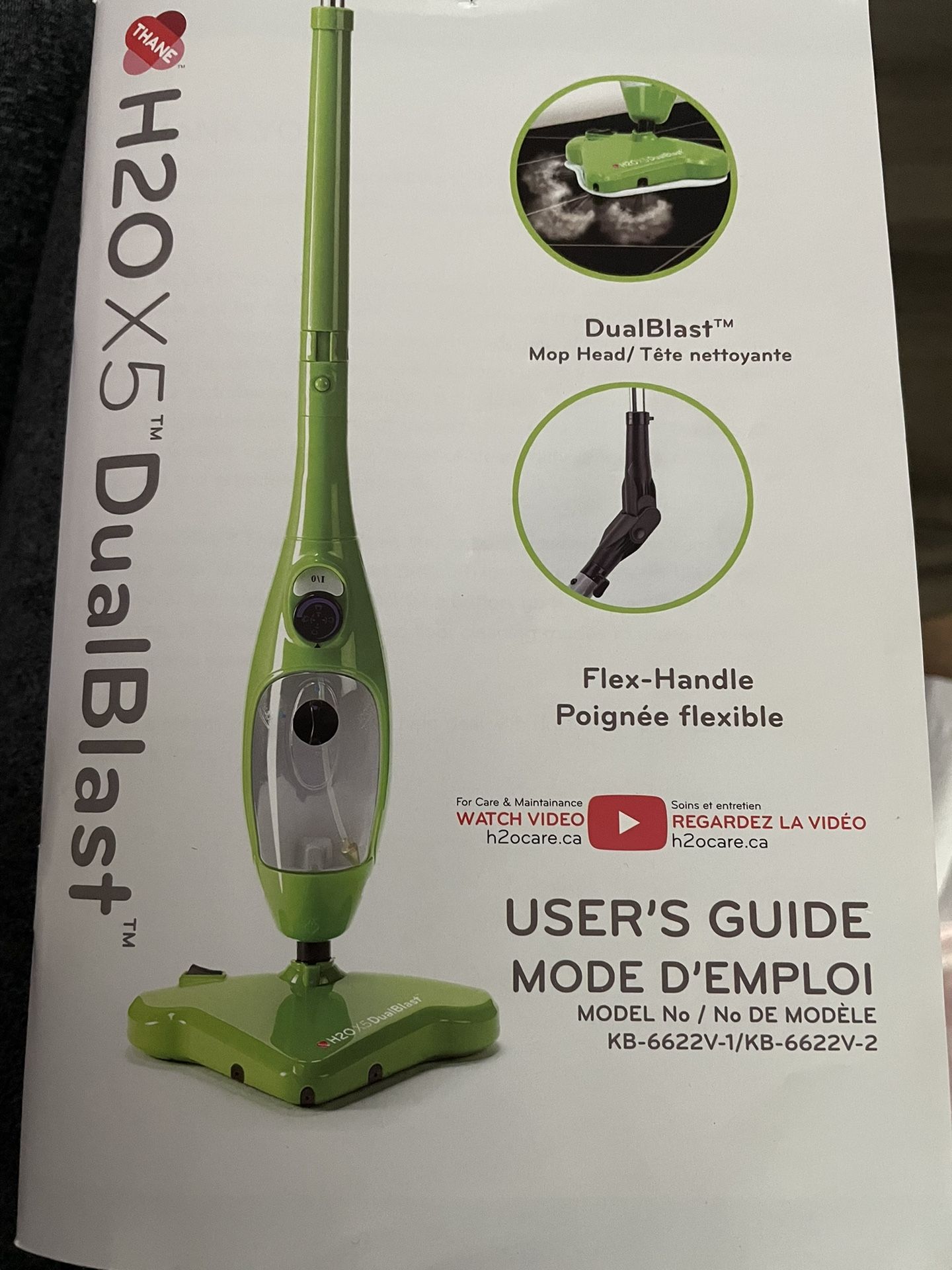 Dual blast Steam Cleaner