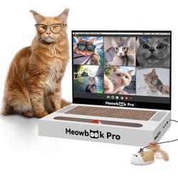 All New Cat Scratcher Laptop Cat Toy