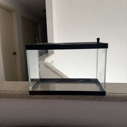 Small Aquarium 