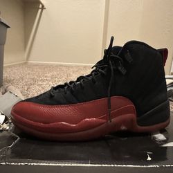 Jordan 12 Flu Game 2009 Suede 