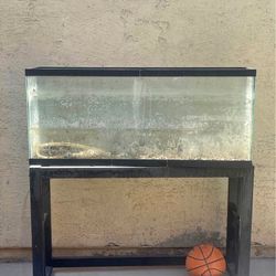 40 Gallon Fish Tank With Stand 