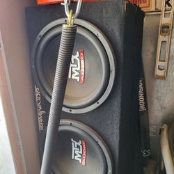 2 Mtx 12s With Amp