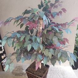 Dual Color Artificial Plant 48"H