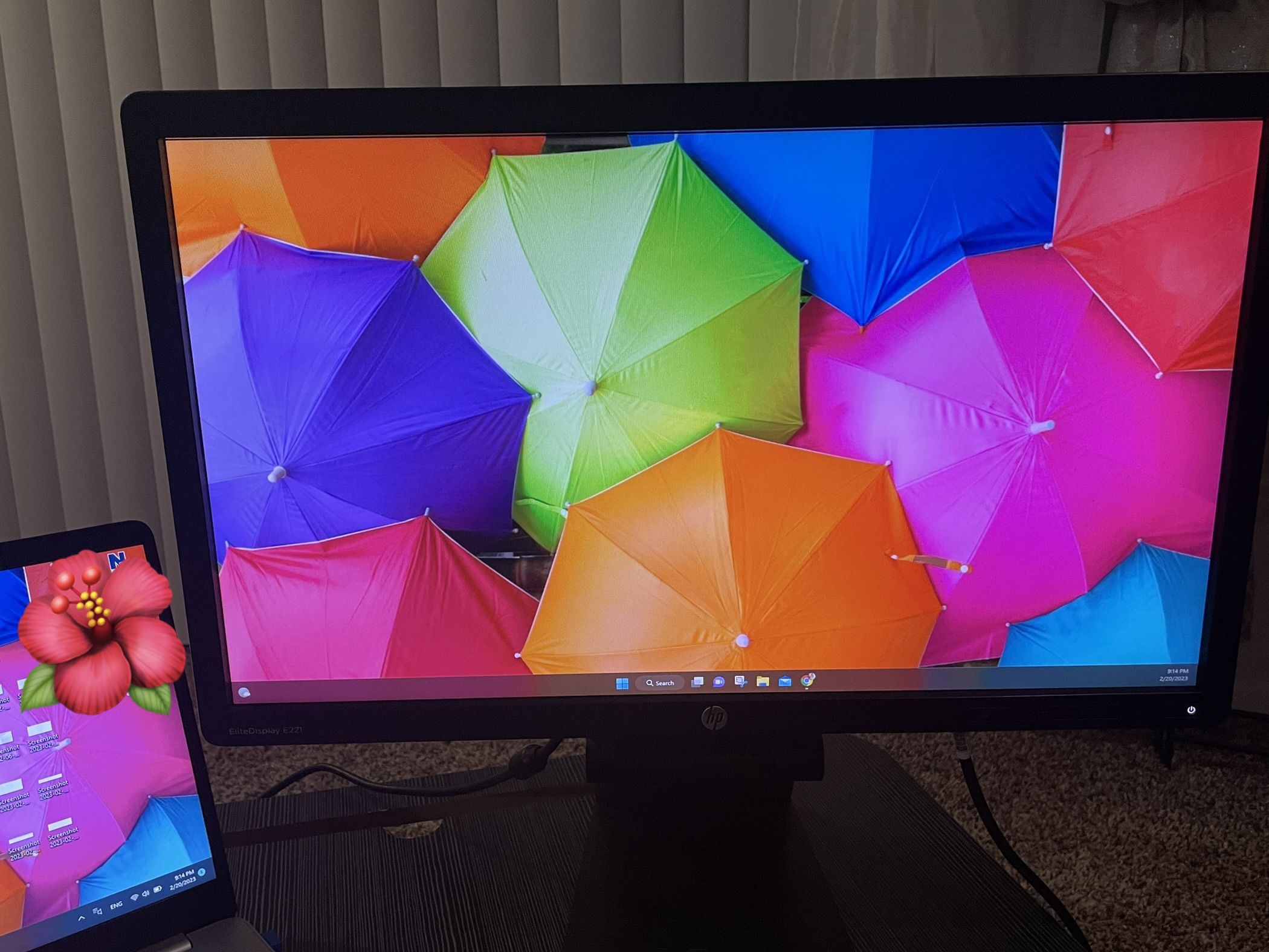 HP Elite Display E221