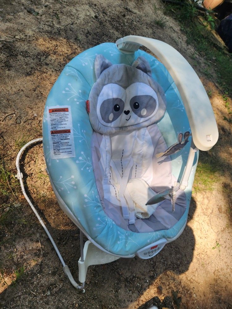 Baby Raccon Infant