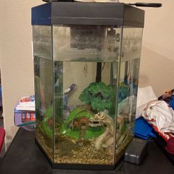 20 Gallon Fish Tank 