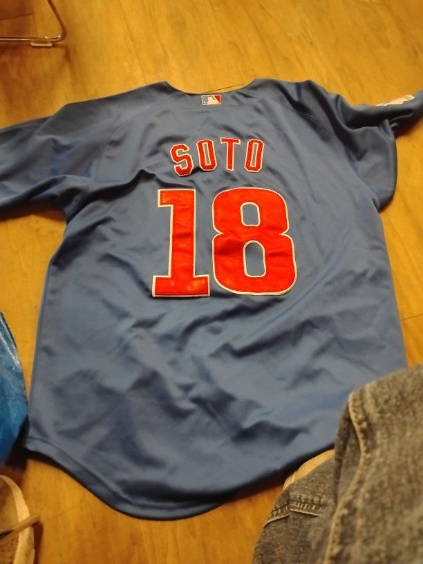 Soto Cubs Authentic Jersey 