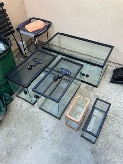Fish Tanks