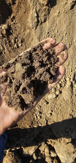 FREE DIRT FREE DELIVERY