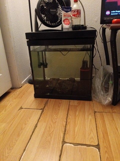 36 Gallon Tank