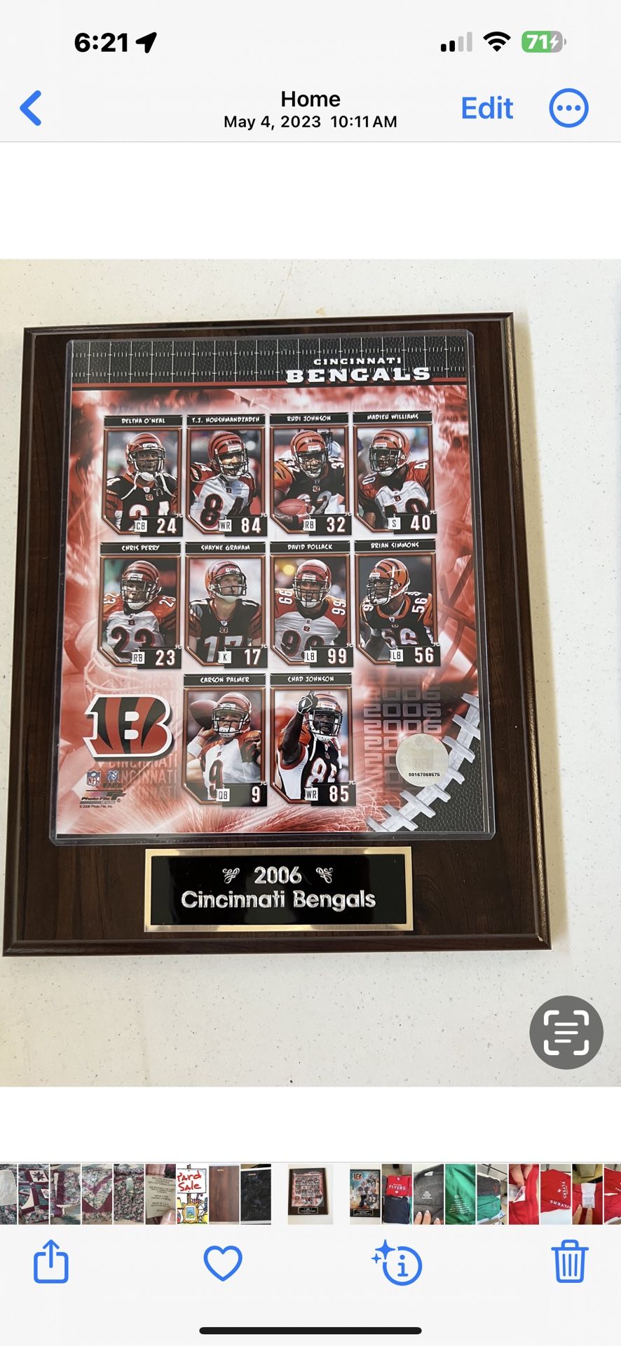 2006 Cincinnati Bengals Plaque with team players pictures