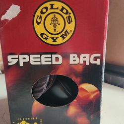 Gold's Gym Speed Bag and Rack