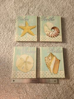 Sea Shell Wall Art