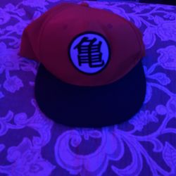 DBZ Hat