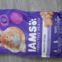 Food For Cats
