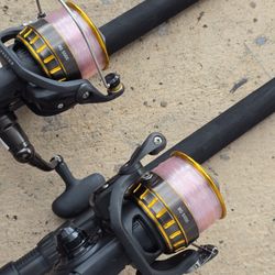 Daiwa BG Reel/New Lines/New Rampage Rod 