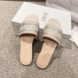 Dior letter webbing design flat cool slippers(off23)