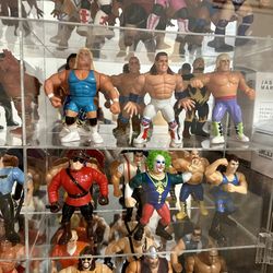 Wwf hasbro figures for sale sales