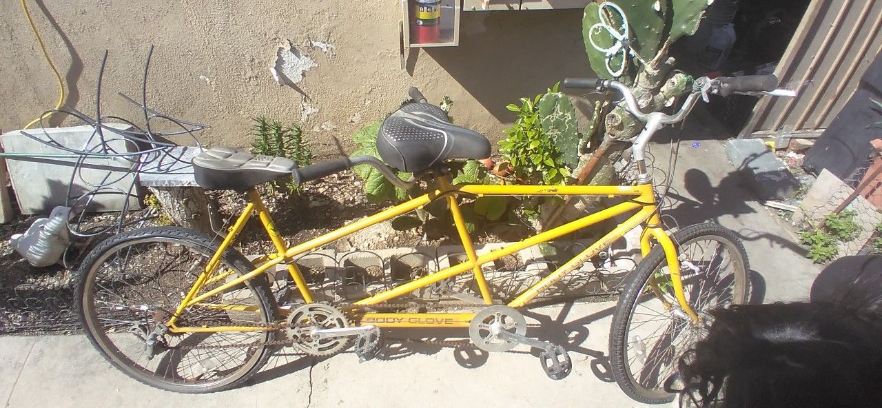 tandem bicycle or twin Bike