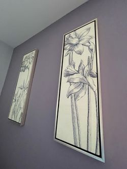 🖼️   VARIED ARTWORK 🖼️