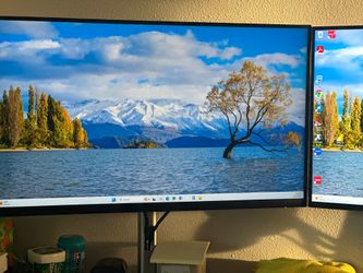 Dual monitors and 2 24 inch monitors