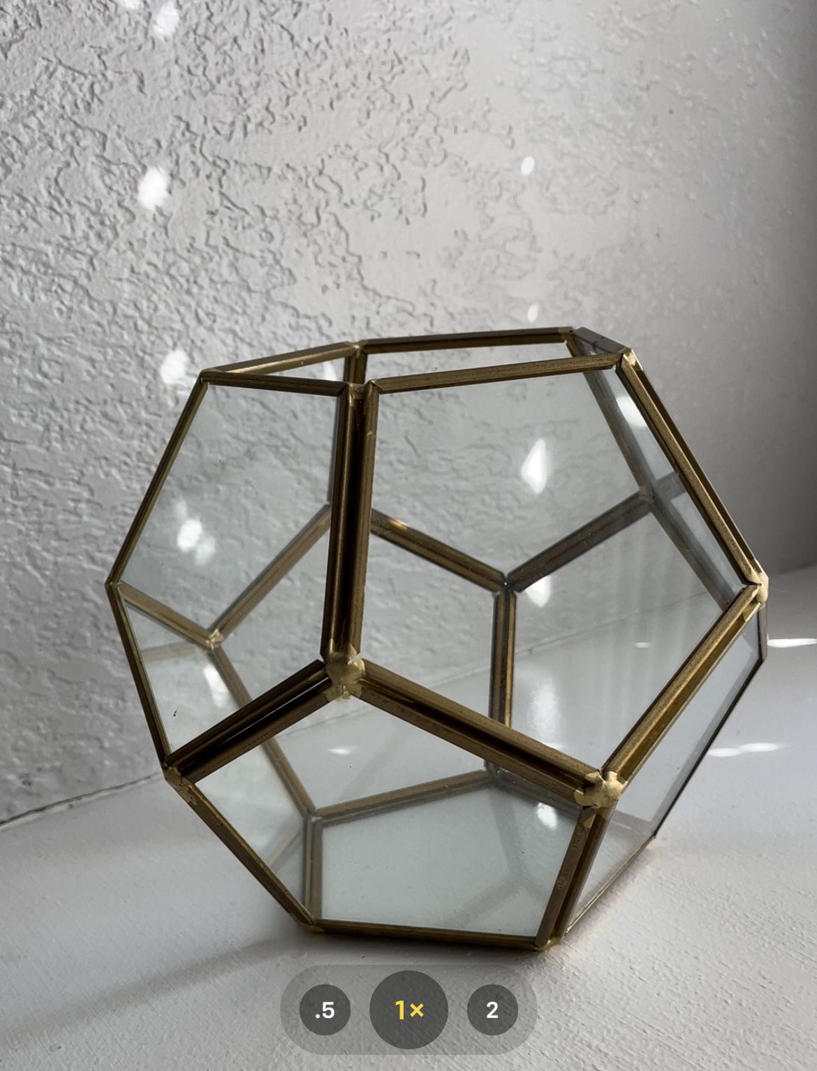 Succulent Plant holder 