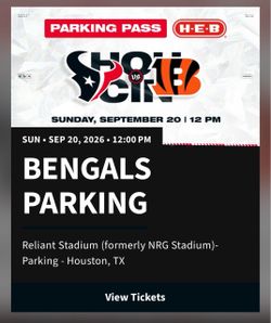 Houston Texans