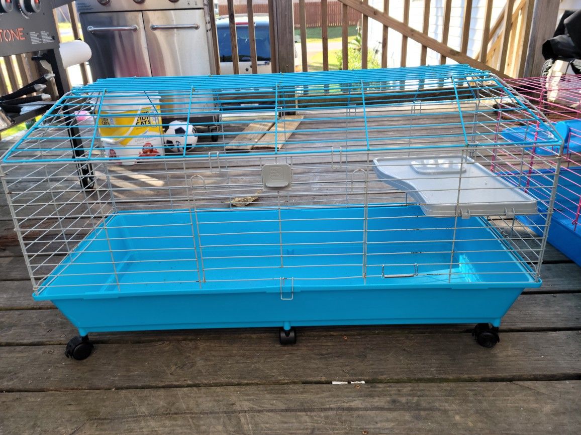 Guinea Pig Cage
