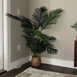 Fake Palm Plant