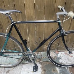 Nishiki single Speed Bike New Wheelset Tuned Large 5’10-6’1