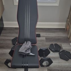 Bench and Pair of Dumbells