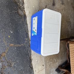 Coleman Cooler